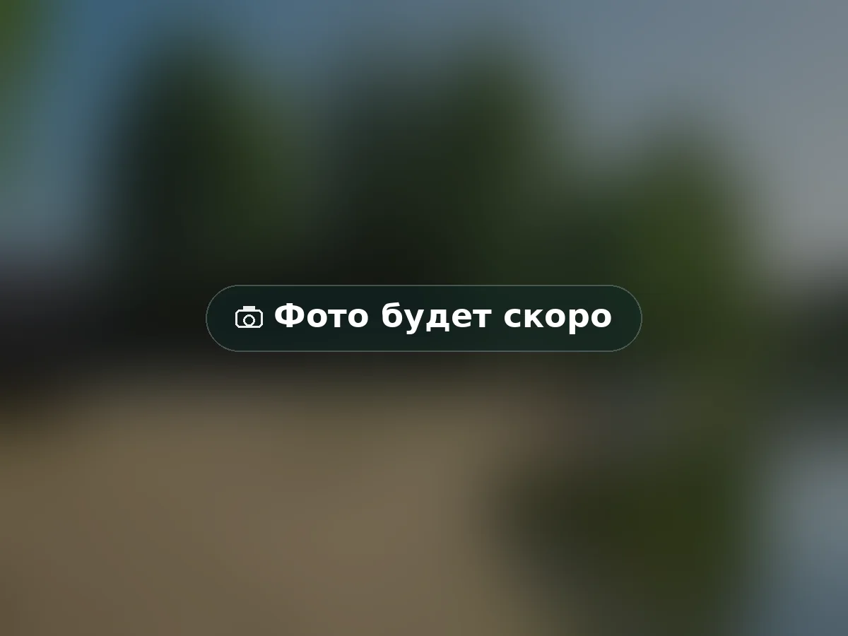 Мангальная зона